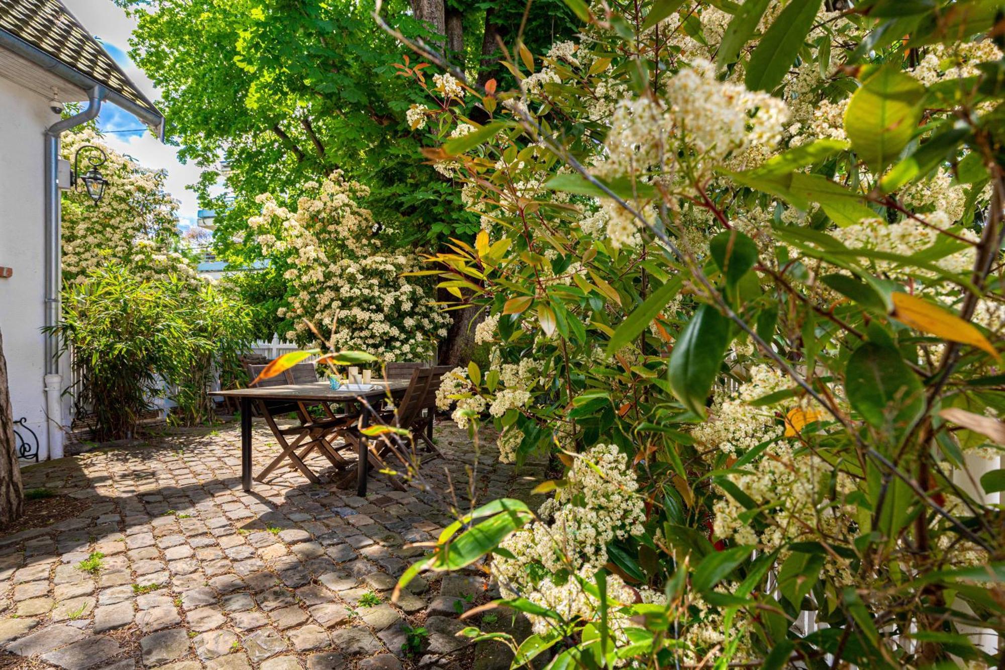 Grand & Classy Apartment With Private Garden, Villa Des Ammonites Meudon Dış mekan fotoğraf